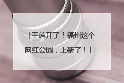 王莲开了！福州这个网红公园，上新了！